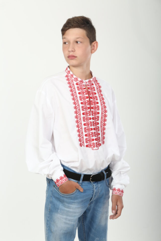Вишиванка "Мужність"