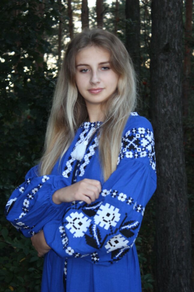 Вишита сукня "Волошка"