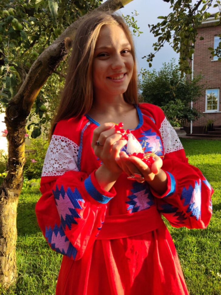 Вишита сукня "Вогонь"
